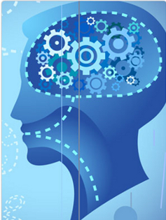 6 Components of DI